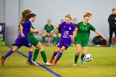 galleryimg4447